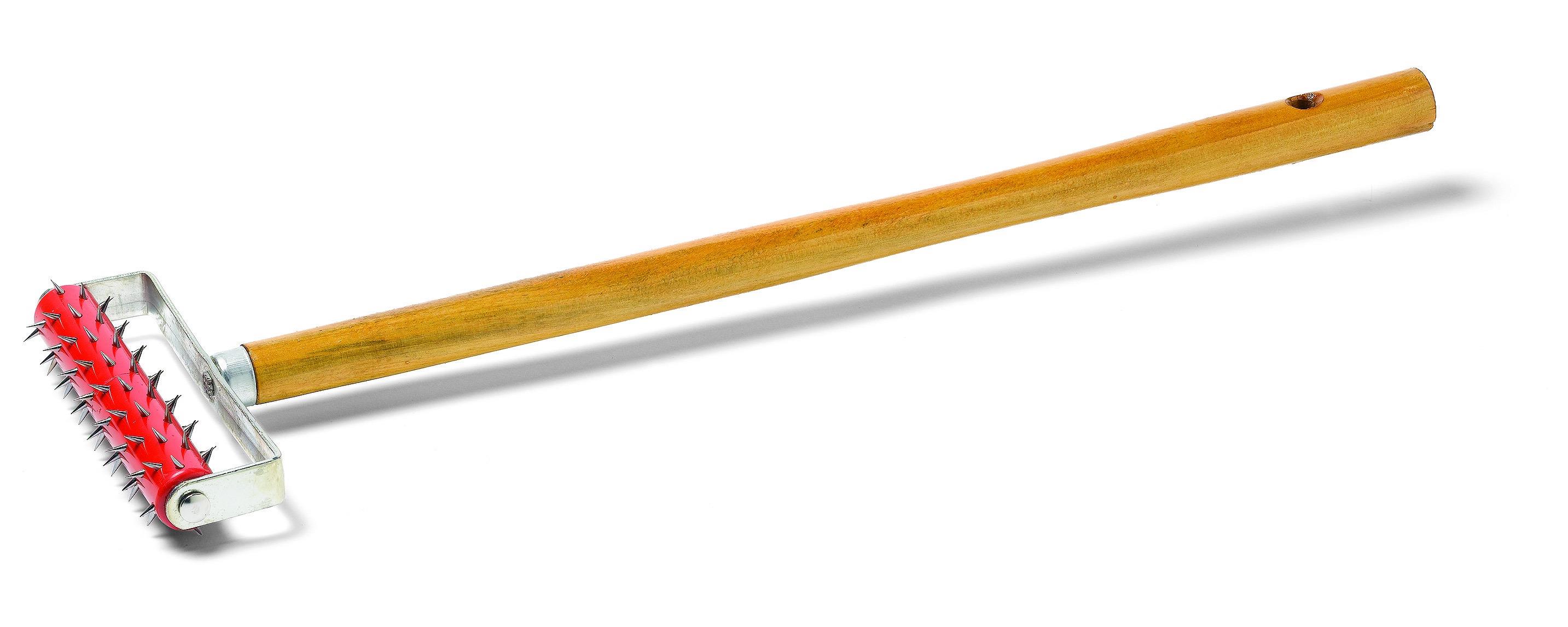 Stingray Stachelwalze, 50 cm